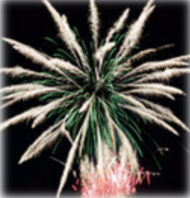 Feu d'artifice
