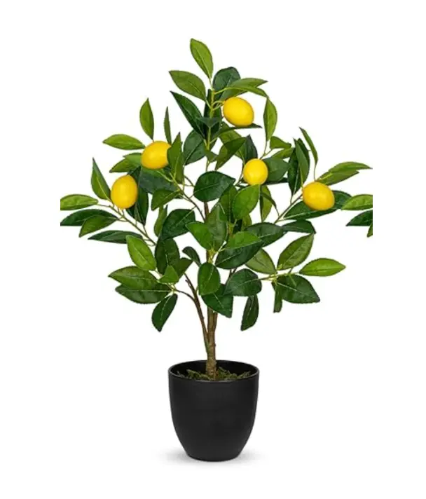 Citronnier artificiel