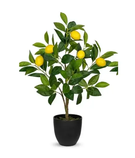 [DT1009] Citronnier artificiel